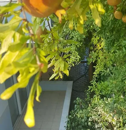 Apartmen In квартира между лесом и морем в кемере Kemer