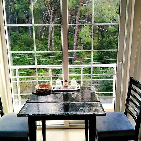 Apartment Apartmen In квартира между лесом и морем в кемере Kemer
